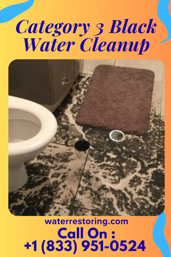 Category 3 Black Water Cleanup in Canby, MN